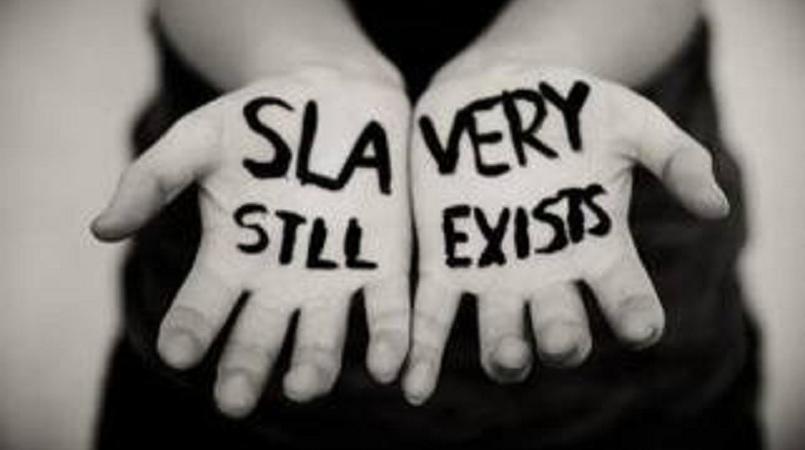 ‘modern Day Slavery’ Loop Tonga