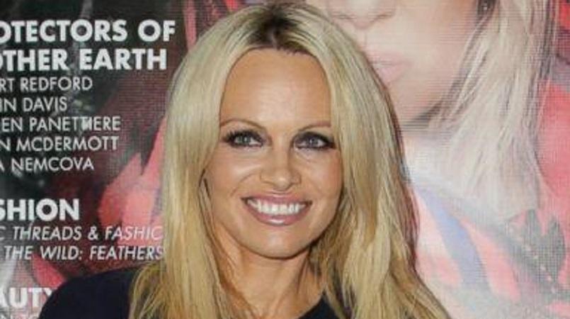 805px x 450px - Pamela Anderson: 'Porn killed Playboy' | Loop PNG