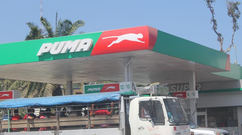 puma discount petrol