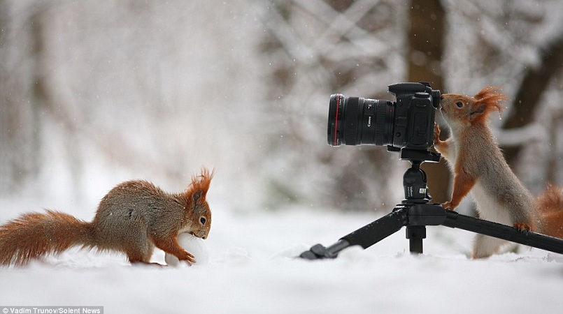 Picture by Vadim Trunov