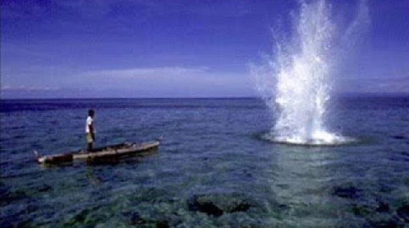 Stop dynamite fishing! | Loop PNG