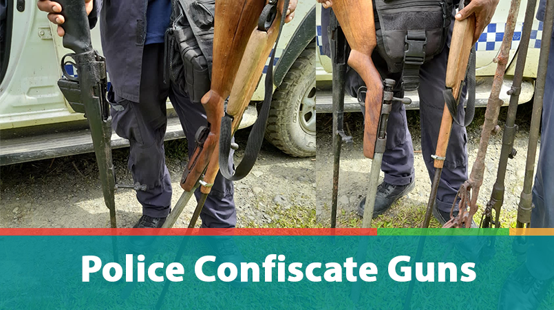 Police confiscate firearms |  Buckle PNG