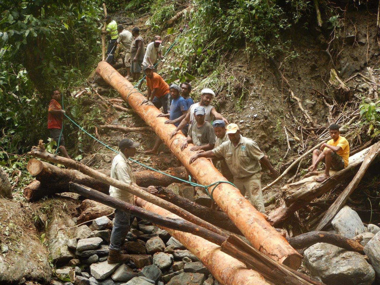 Community members and track rangers transport a log to Eora Creek as part of the bridge construction